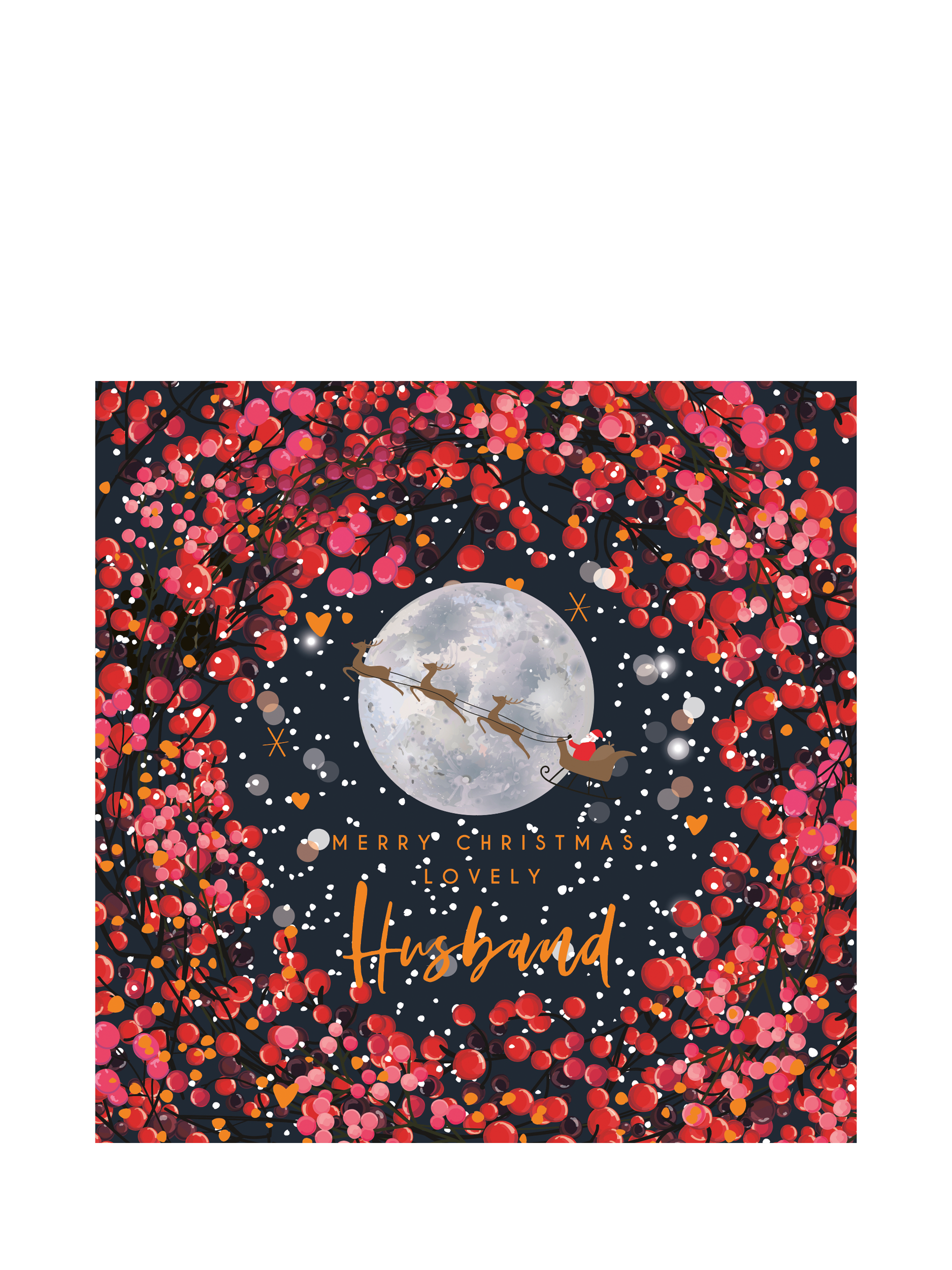 Belly Button Designs Husband Sleigh Christmas Card