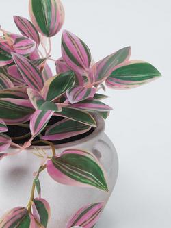 John Lewis Artificial Tradescantia Plant in Ceramic Pot, H23cm, Green - view 2, Green