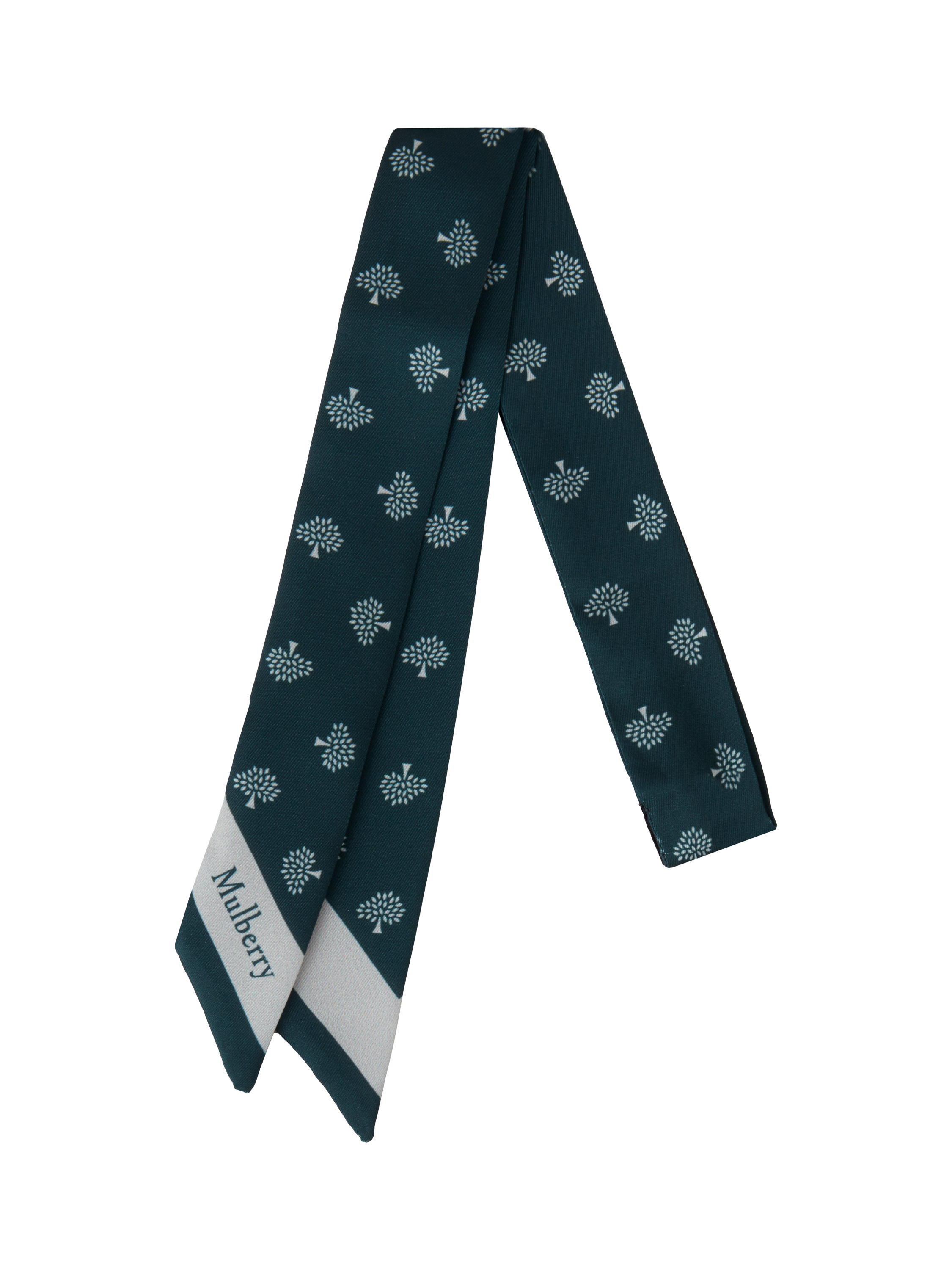 Product image 1 of 1, which shows Mulberry Tree Skinny Scarf, Mulberry Green