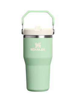 Stanley IceFlow Flip Straw Stainless Steel Leak-Proof Tumbler, 590ml, Pistachio