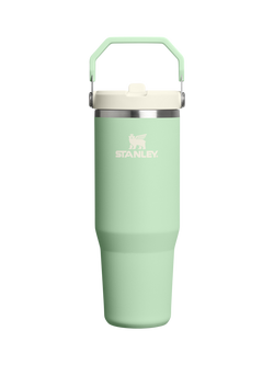 Stanley IceFlow Flip Straw Stainless Steel Leak-Proof Tumbler, 890ml, Pistachio