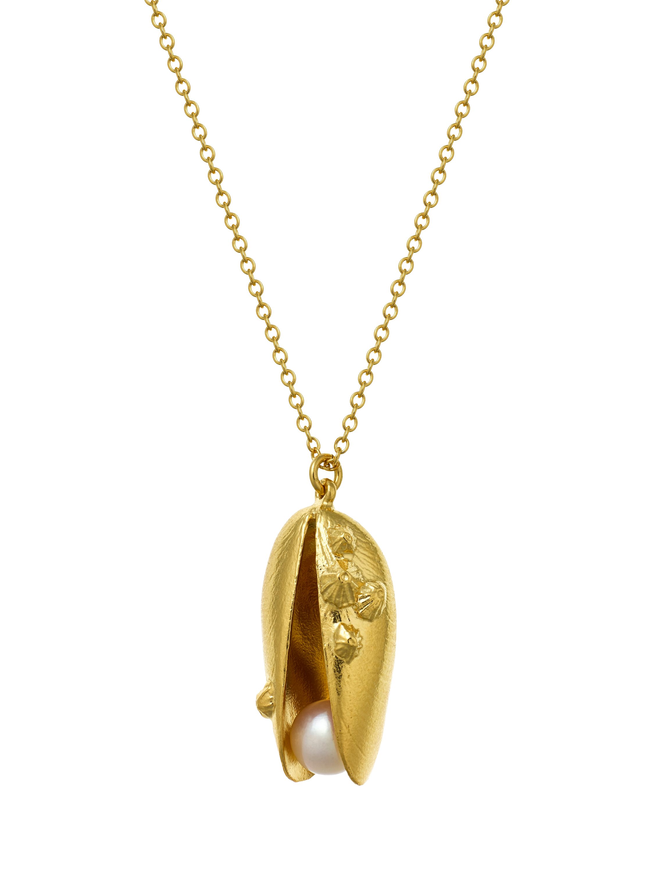 Product image 1 of 5, which shows Alex Monroe Mussel Shell Pearl Necklace, Gold