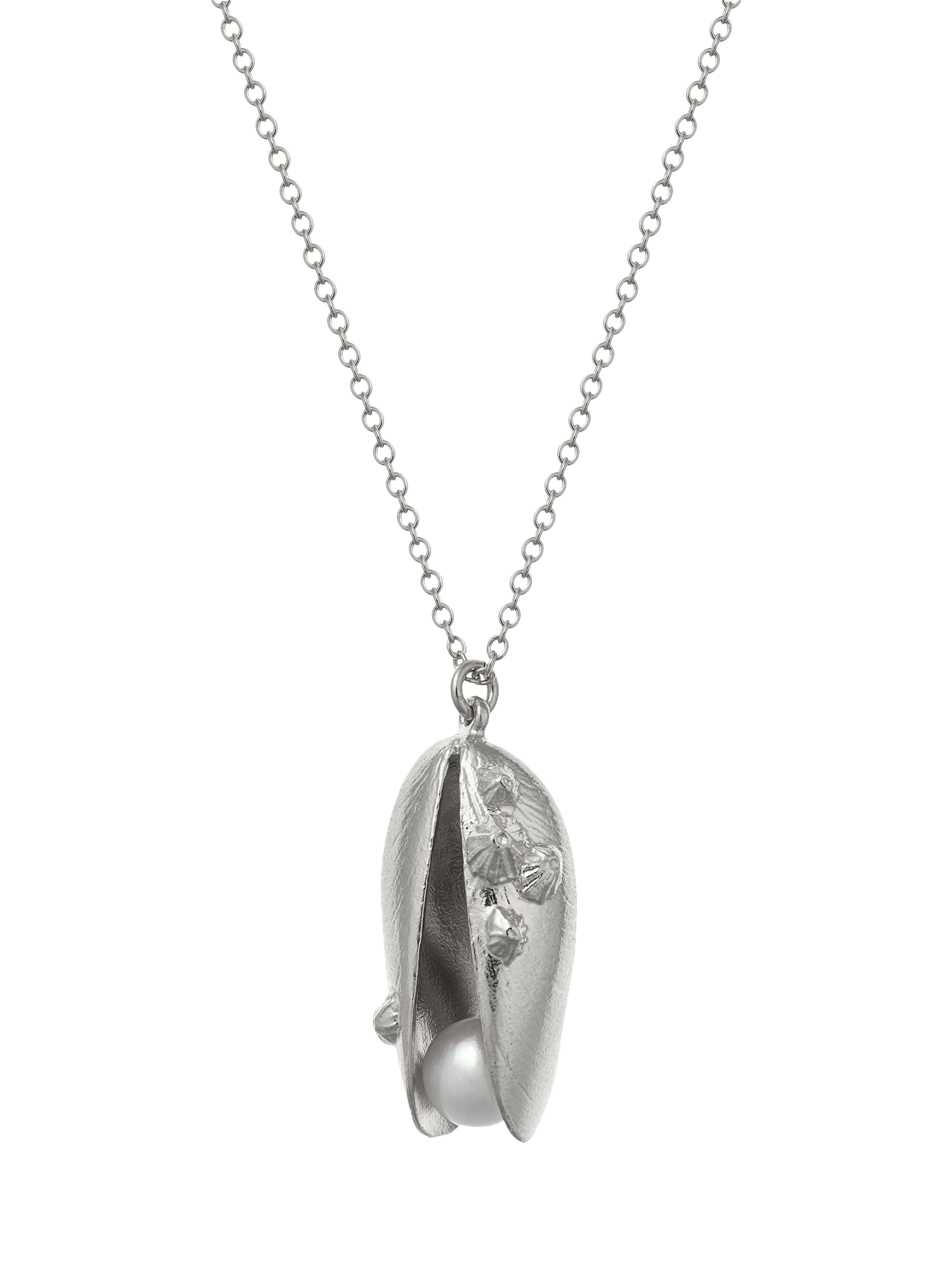 Product image 1 of 4, which shows Alex Monroe Sterling Silver Shell and Pearl Charm Necklace