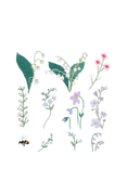 Rico Design Flowers Embroidery Kit