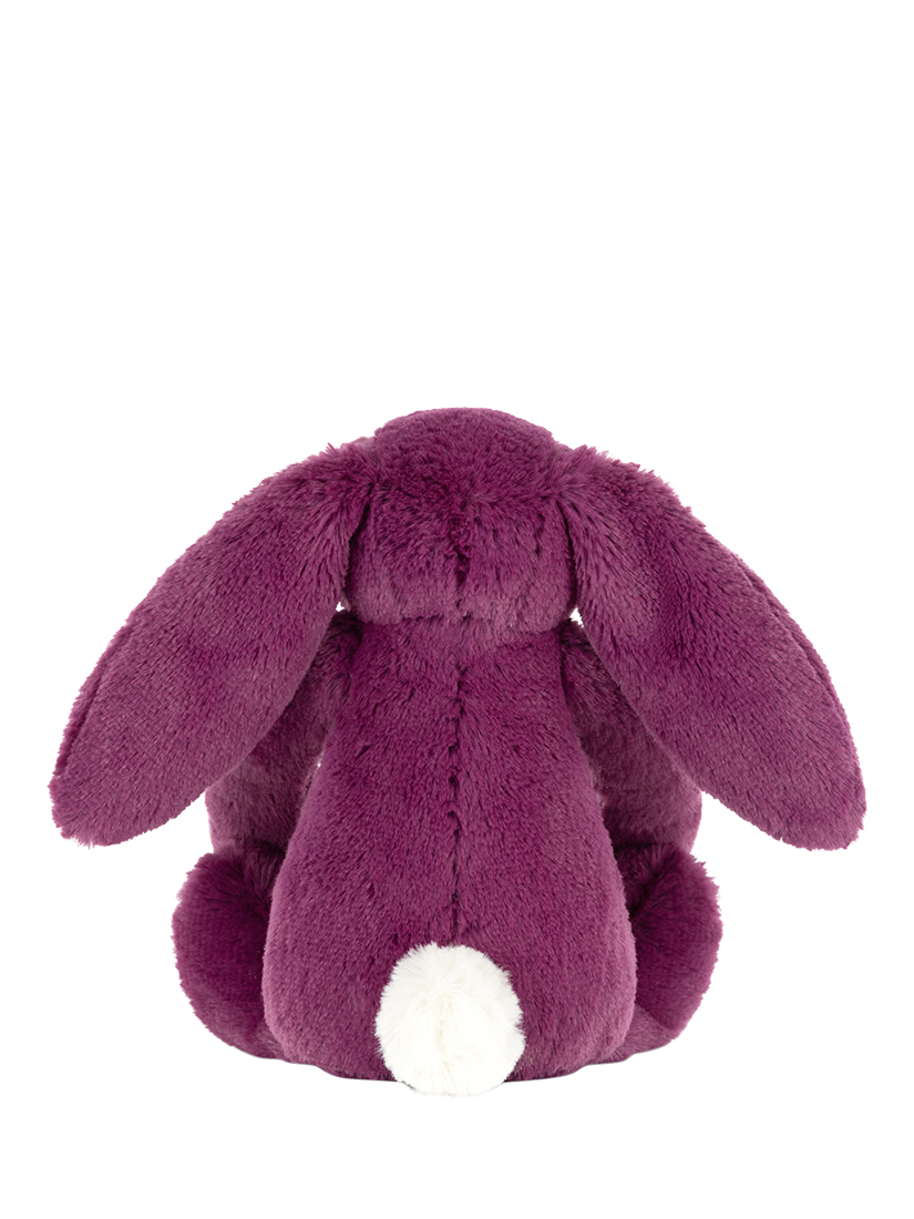  little allium Bunny　パープル　紫　うさぎ Purple Sensation Allium, Allium aflatunense | American Meadows