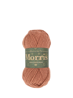 West Yorkshire Spinners Morris DK Knitting Yarn, 50g, Chrysanth