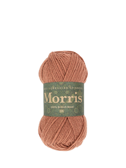 West Yorkshire Spinners Morris DK Knitting Yarn, 50g, Chrysanth