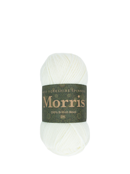 West Yorkshire Spinners Morris DK Knitting Yarn, 50g, Daisy