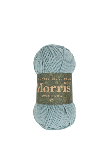 West Yorkshire Spinners Morris DK Knitting Yarn, 50g, Hyacinth