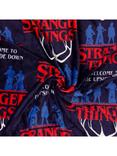 Stranger Things Fleece Blanket
