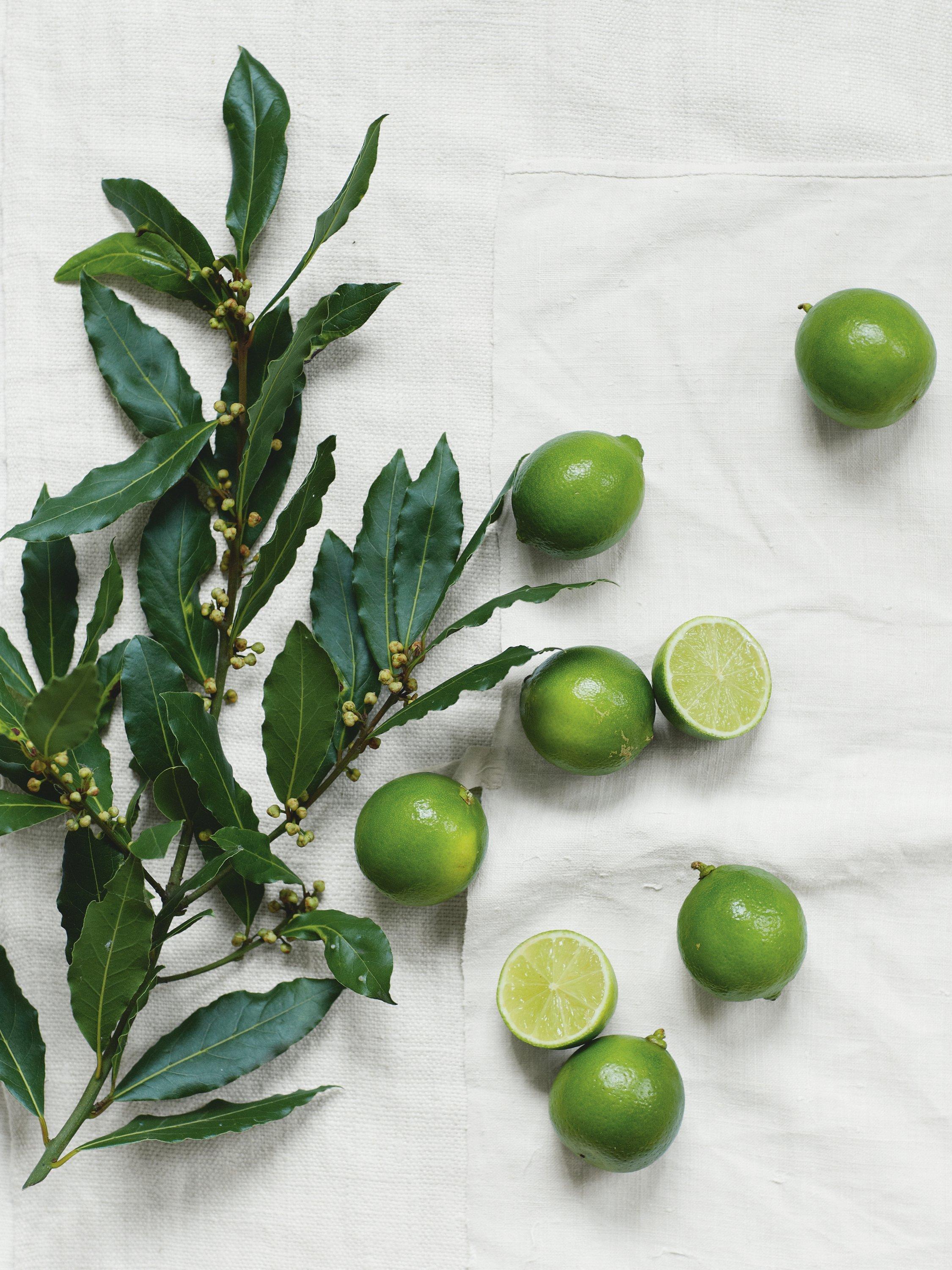 Product image 3 of 3, which shows The White Company Lime & Bay Indulgence Gift Set