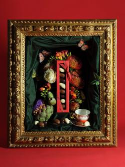 Walnut Tree Chocolate Brazil Nuts, 170g - view 2, 