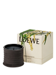 LOEWE Dendrochilum Orchid Small Scented Candle, 170g