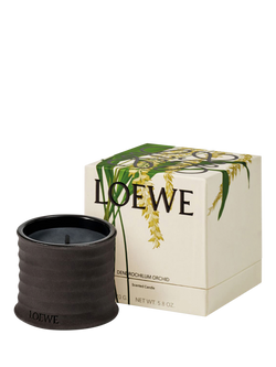 LOEWE Dendrochilum Orchid Small Scented Candle, 170g - view 2, 