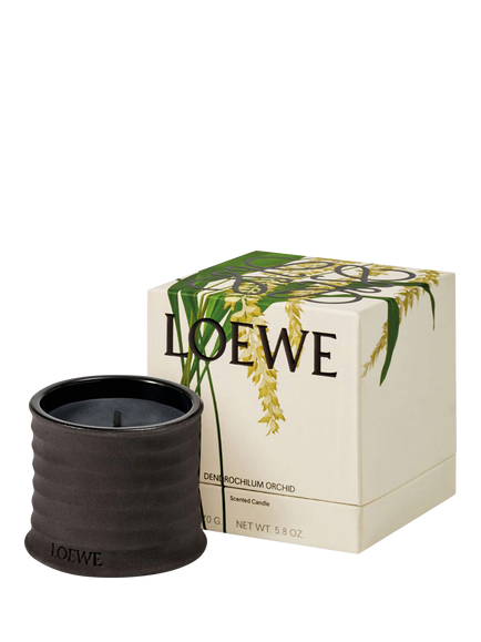 LOEWE Dendrochilum Orchid Small Scented Candle, 170g - view 2, 