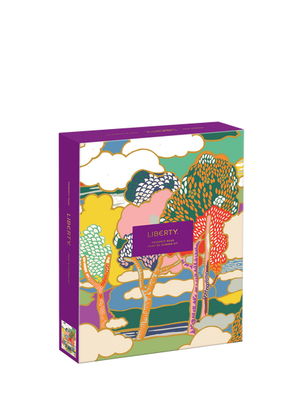 Galison Liberty Prospect Road Paint by Numbers Kit, Multi