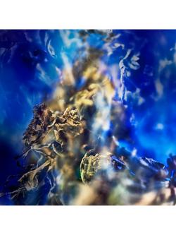 BVLGARI Le Gemme Gyan Eau de Parfum - view 2, 