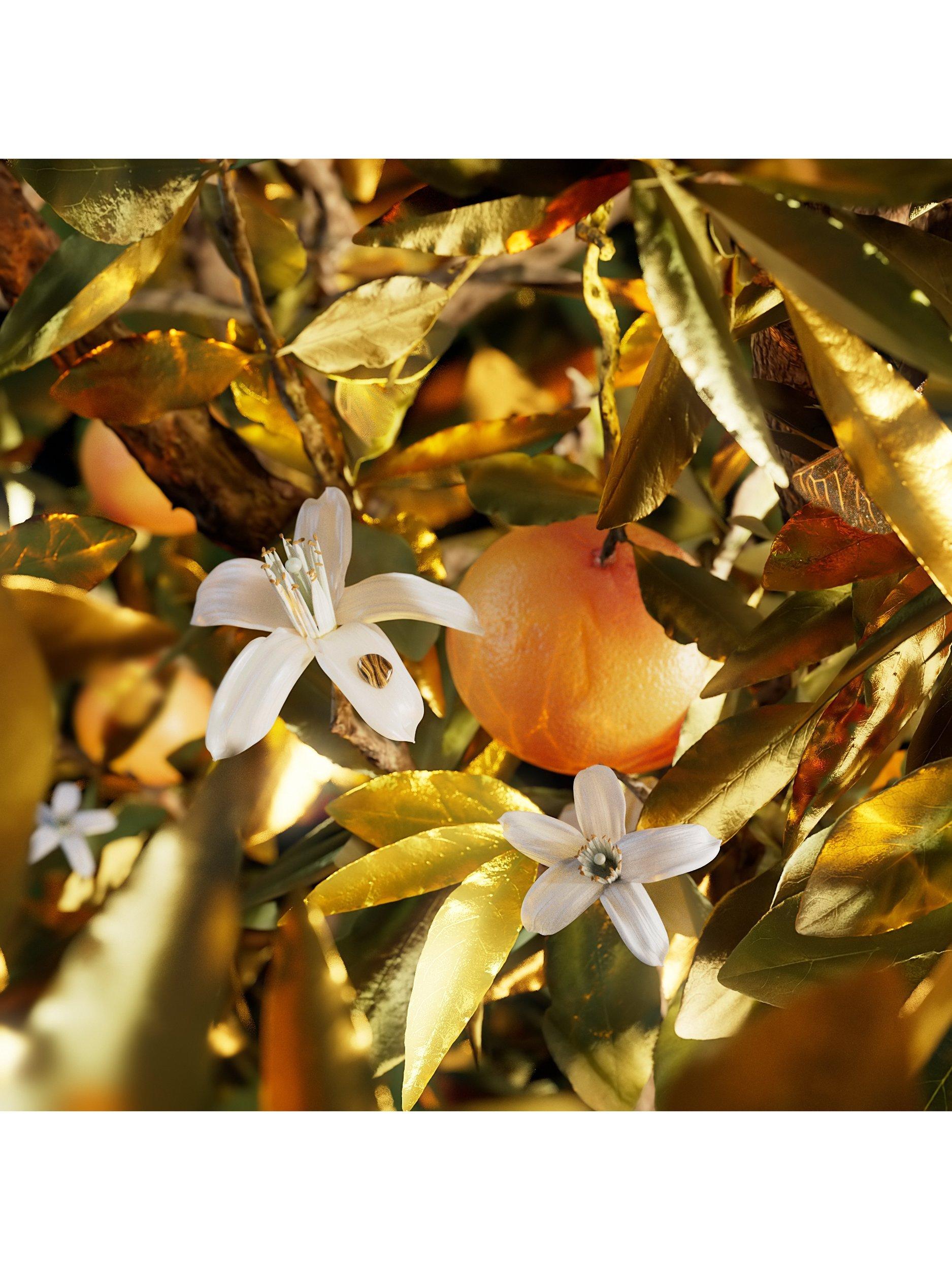 Product image 4 of 9, which shows BVLGARI Le Gemme Tygar Eau de Parfum, 125ml