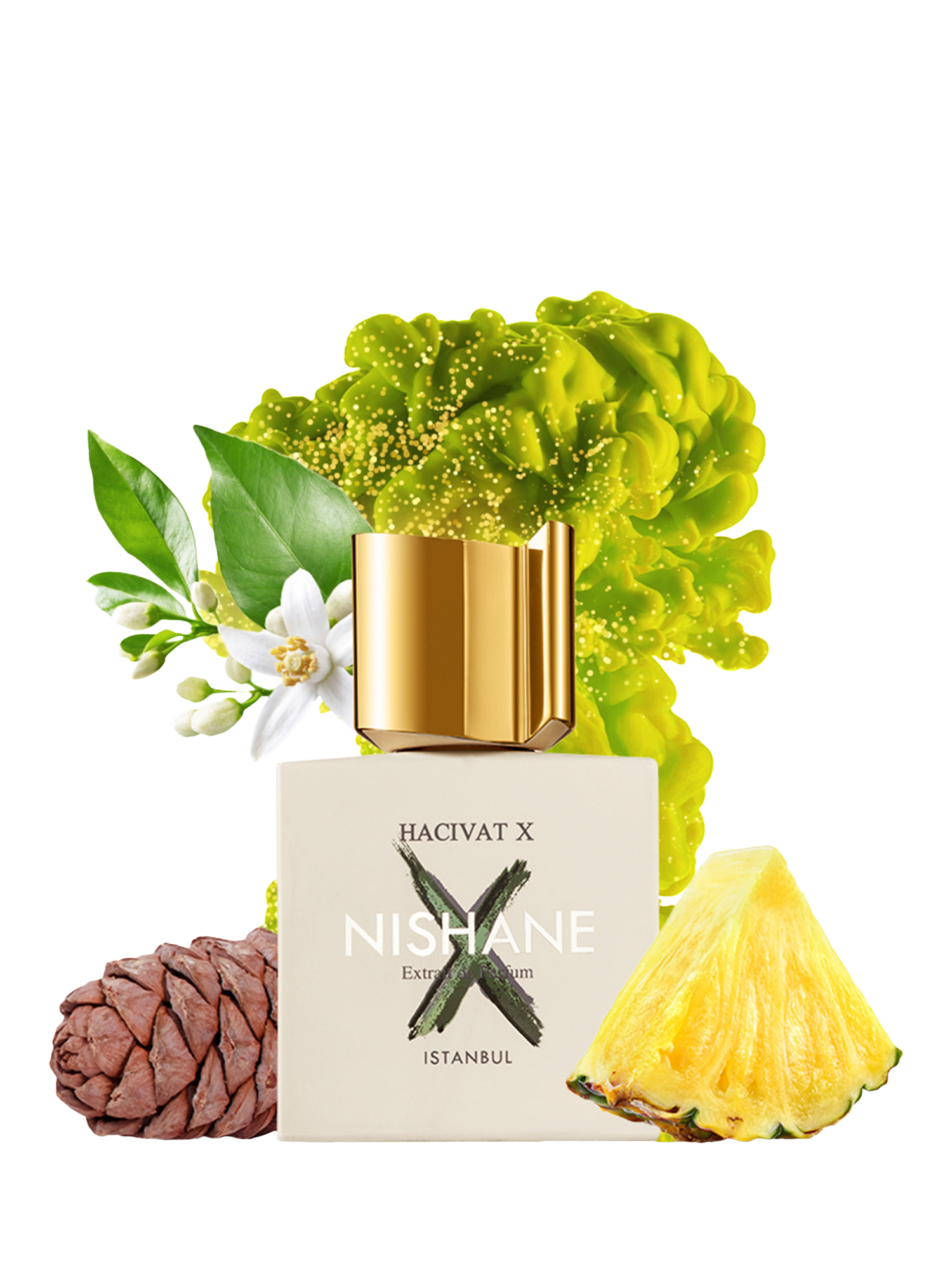 NISHANE Hacivat X Extrait de Parfum