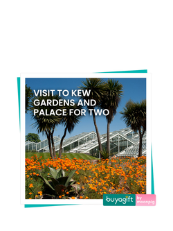 Buyagift Kew Gardens Palace Gift Experience, Multi