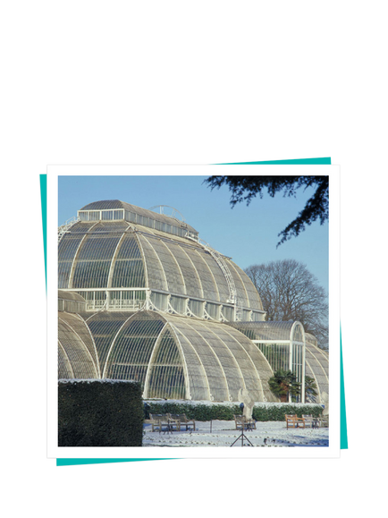 Buyagift Kew Gardens Palace Gift Experience - view 2, Multi