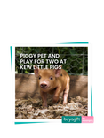 Buyagift Piggy Pet & Play Gift Experience
