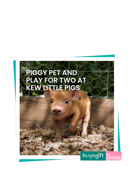 Buyagift Piggy Pet & Play Gift Experience, Multi