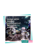 Buyagift Skegness Shark Dive Gift Experience