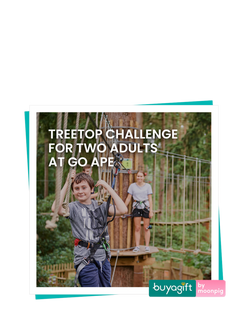 Buyagift Go Ape Treetop Challenge Gift Experience, Multi