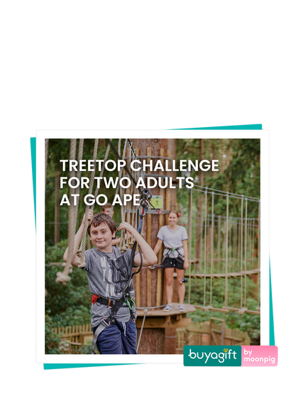 Buyagift Go Ape Treetop Challenge Gift Experience, Multi