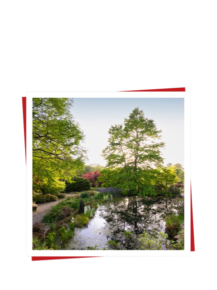 Red Letter Days RHS Individual Membership Gift Experience - view 2, Multi