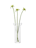 LSA International Stripe Glass Vase, H31.5cm, White