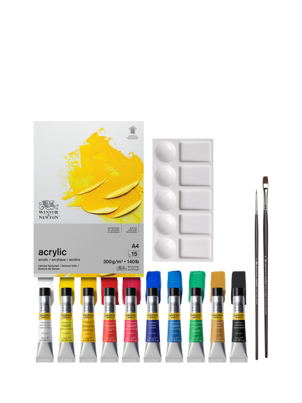 Winsor & Newton Galeria Acrylic Paint Essentials Set, Multi