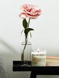 MALIN + GOETZ Otto Scented Candle, 255g