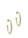 Ted Baker Clanci Medium Crystal Hoop Earrings