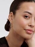 Ted Baker Clanci Medium Crystal Hoop Earrings