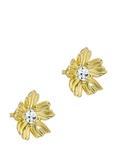 Ted Baker Petulia Flower Statement Crystal Stud Earrings, Gold
