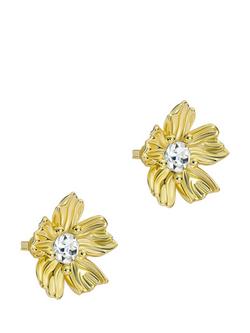 Ted Baker Petulia Flower Statement Crystal Stud Earrings, Gold, Gold