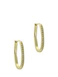 Ted Baker Shivanna Crystal Shimmer Hoop Earrings, Gold