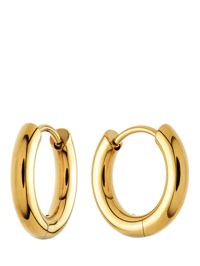 Product image 1 of 4, which shows Tish Lyon Gold Titanium Classic Plain Hoop Earrings, 10mm