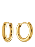 Tish Lyon Gold Titanium Classic Plain Hoop Earrings, 10mm