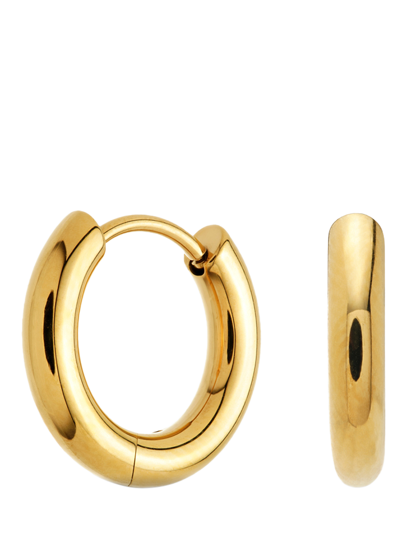 Product image 3 of 4, which shows Tish Lyon Gold Titanium Classic Plain Hoop Earrings, 10mm