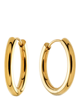 Tish Lyon Gold Titanium Classic Plain Hoop Earrings, 16mm