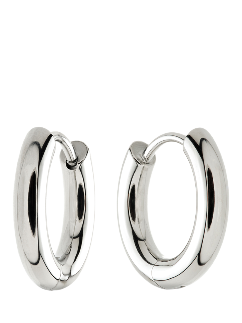 Product image 1 of 4, which shows Tish Lyon Platinum Titanium Classic Plain Hoop Earrings, 10mm
