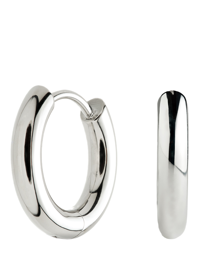 Product image 3 of 4, which shows Tish Lyon Platinum Titanium Classic Plain Hoop Earrings, 10mm