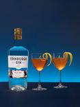Edinburgh Gin Old Tom, 70cl