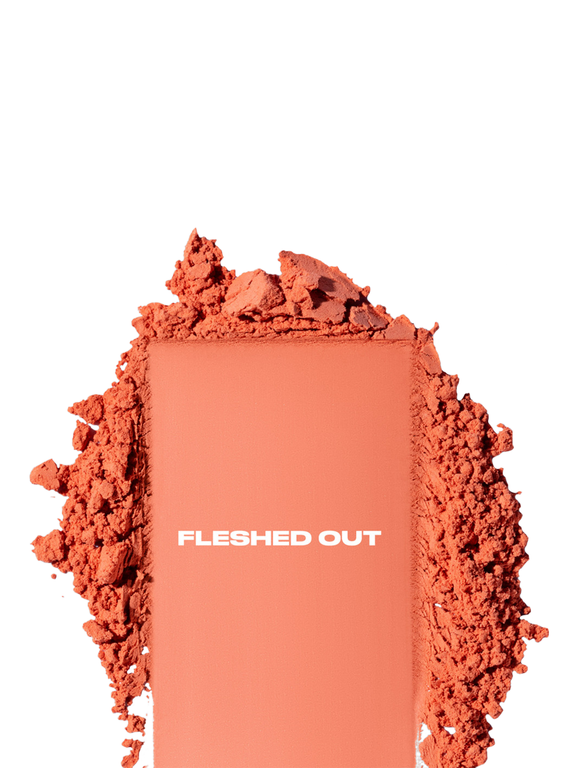 Product image 3 of 11, which shows Urban Decay Face Bond Blush Suede, Fleshed Out
