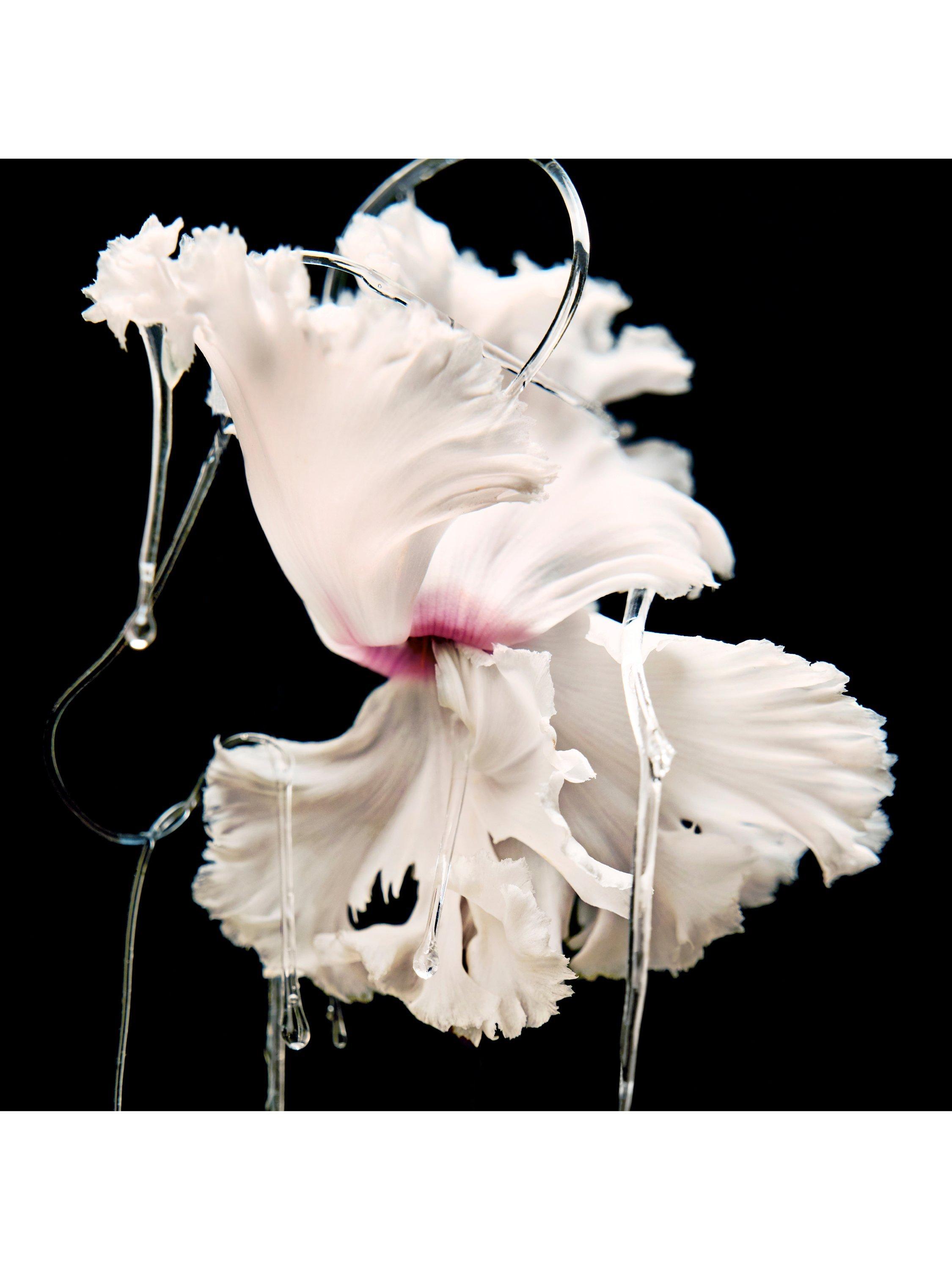 Product image 4 of 7, which shows Byredo Blanche Absolu de Parfum, 100ml