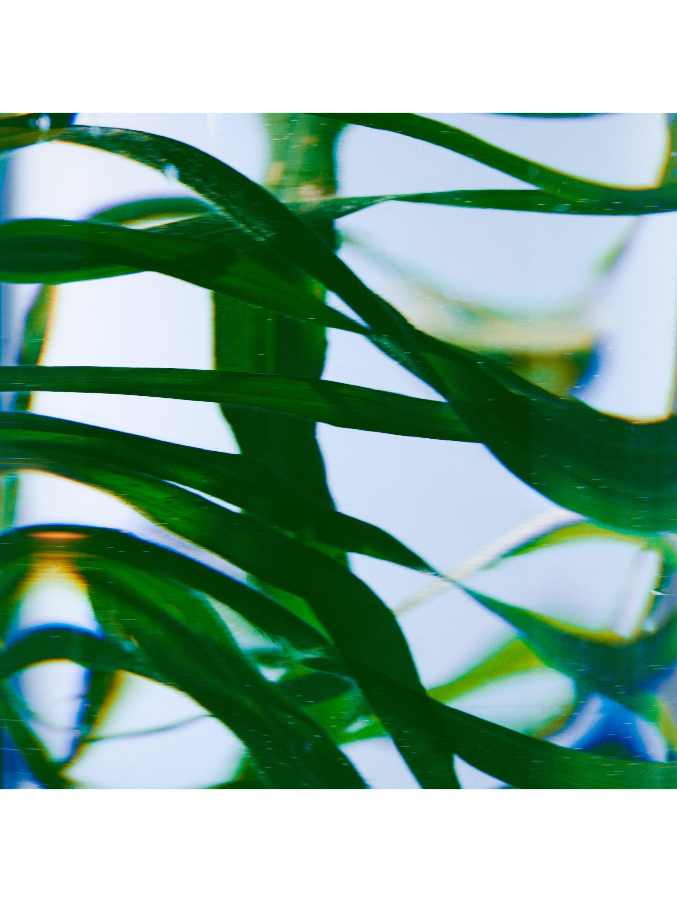 Product image 3 of 3, which shows Byredo Vetyver Hand Cream, 100ml