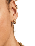 EDBLAD Andorra Cubic Zirconia Creole Earrings, Gold